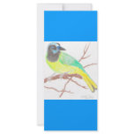 Green Bird Rack Cards