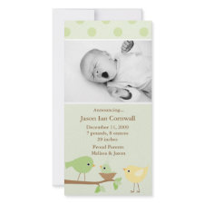 Green Birds Birth Announcement photocard