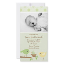 Green Birds Birth Announcement Picture Card
