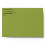 Green, Black Damask Envelope for 5"x7" Sizes