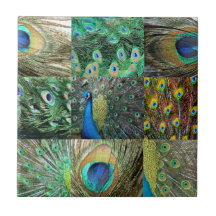 Green Blue Peacock photo collage Ceramic Tiles