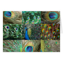Green Blue Peacock photo collage Greeting Cards