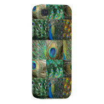Green Blue Peacock photo collage Covers For iPhone 4
