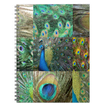 Green Blue Peacock photo collage Note Books