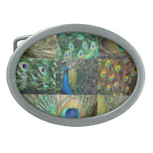 Green Blue Peacock photo collage Oval Belt Buckle