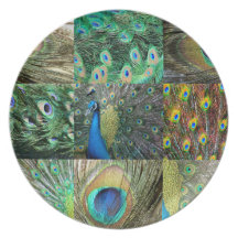 Green Blue Peacock photo collage Party Plates