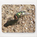 Green Bottle Fly mousepads by codfishlady Green Bottle Fly mousepads