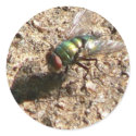 Green Bottle Fly stickers by codfishlady Green Bottle Fly stickers