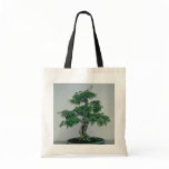 Green Bougainvillea glabro (paper flower, 60 years Bags