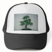 Green Bougainvillea glabro (paper flower, 60 years Mesh Hat