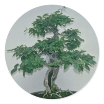 Green Bougainvillea glabro (paper flower, 60 years Stickers