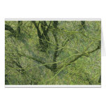 Green branches cards by OneArmedGraphics