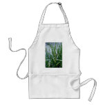 Green Broad-Fruited Bur-Reed (Sparganium Eurycarpu Aprons