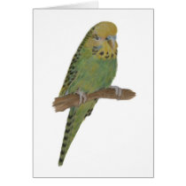 Green Budgie Art Greeting Cards