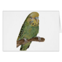 green budgie art card