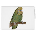 green budgie art card