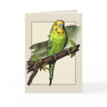 Green Budgie Art Greetings Card