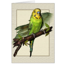 Green Budgie Art Greetings Card