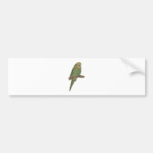 Green Budgie Bumper Sticker