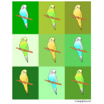 Green Budgie Design t-shirts