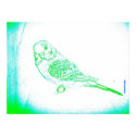 Green Budgie Portrait posters by nature_art Green Budgie Portrait posters