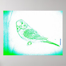 Green Budgie Portrait Print