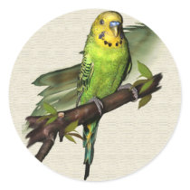 Green Budgie Stickers