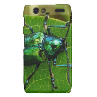 Green bug on green leaf droid razr covers