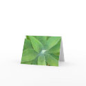 Green Burst cards