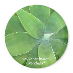 Green Burst Magnet
