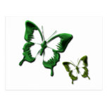 Green Butterflies Postcard