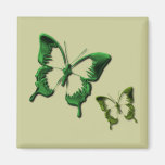 Green Butterflies Square Magnet