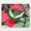 Green Butterfly Nature Photography Mousepad