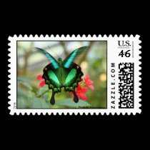 Green Butterfly Postage postage by Rajee1 Green Butterfly Postage postage