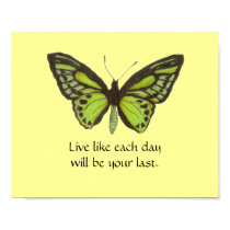 Green Butterfly Poster posters