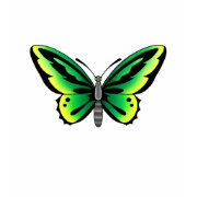 green butterfly tattoo design shirt