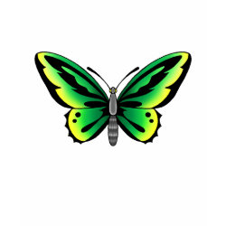 green butterfly tattoo design shirt