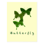 Green Butterfly Trio Postcard