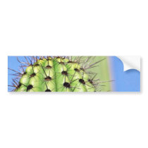 Green Cactus Thorns bumper stickers by lifesphere Green Cactus Thorns bumper stickers
