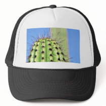 Green Cactus Thorns hats by lifesphere Green Cactus Thorns hats