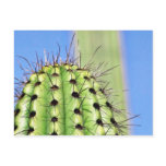 Green Cactus Thorns postcards