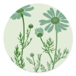 green camomile sticker