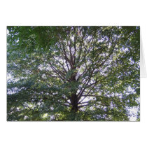 Green Canopy cards