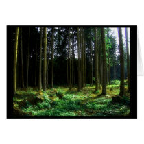 Green (Card)