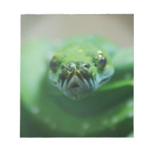 Green Carpet Snake Memo Notepad