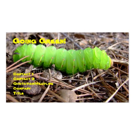 Green Caterpillar Business Cards (front side)