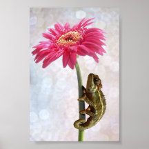Green chameleon on pink flower poster