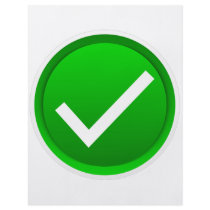 Green Check Mark Sybmol Flyer