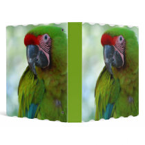 Green Cheek Conure Binder