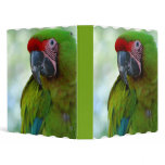 Green Cheek Conure Binder